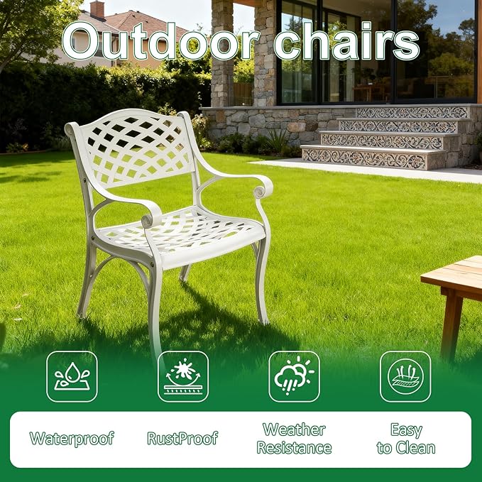 Cast Aluminum Patio Chairs of 2, Outdoor Dining Chairs Set, Aluminum Patio Chairs with Armrest for Garden, Backyard, Poolside, Balcony
