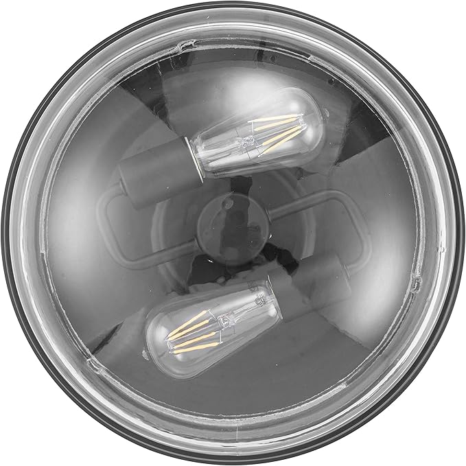 Prominence Home Madalyn 13" Bronze Flush Mount Clear Seeded Round Glass Ceiling Light - 51539-01