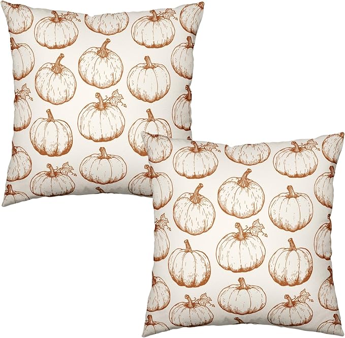 Fall Pumpkin Outdoor Pillow Covers 16x16 Set of 2 Autumn Thanksgiving Harvest Throw Pillows Case Burnt Orange White Farmhouse Fall Holiday Cushion Covers for Sofa Couch Bed Decor