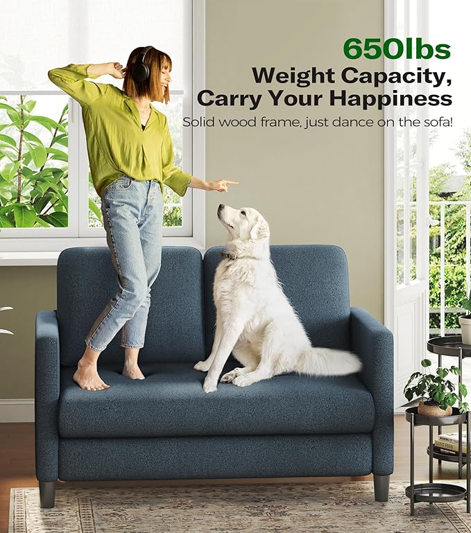 Welzona Loveseat, 51" Small Couch, Comfy Teddy Love Seat for Living Room, Tool-Free Setup Loveseat Sofa for Small Spaces, All-Wood Small Sofa Couch for Bedroom, No Pillow Included, Blue Grey