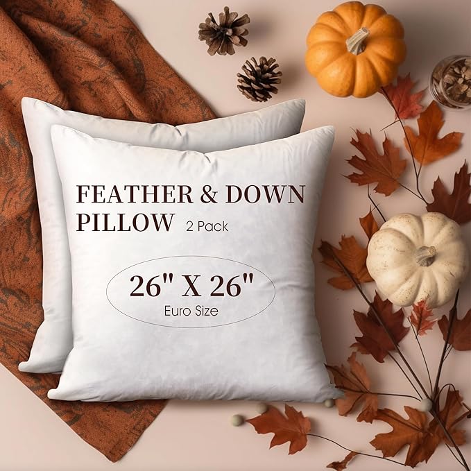 Blue Ridge Home Fashions Feather Down Pillow Square Euro Size Set of 2 Pack Customized Halloween/Christmas Decorations Throw Pillow for Livingroon/Bedroom