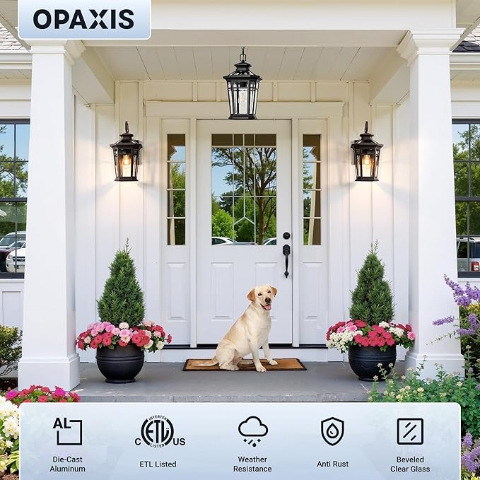 Large 9'' Outdoor Wall Lights Wall Mount, Dusk to Dawn Front Porch Lights, Oil Rubbed Bronze Outdoor Wall Lantern, Exterior Lighting Fixtures for Garage, Waterproof Patio Sconce Lights