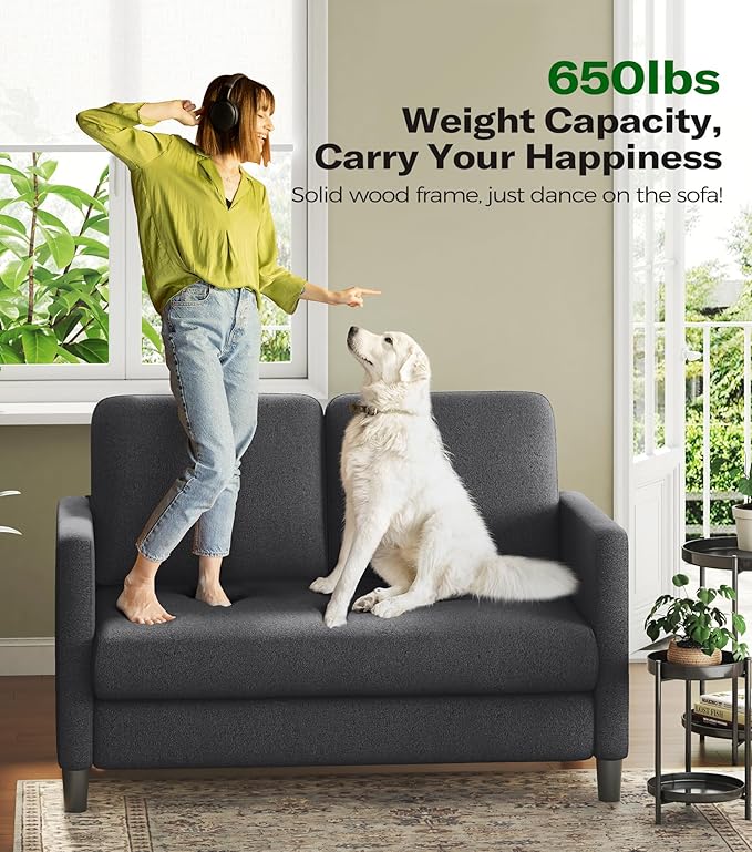 Welzona Loveseat, 51" Small Couch, Comfy Teddy Love Seat for Living Room, Tool-Free Setup Loveseat Sofa for Small Spaces, All-Wood Small Sofa Couch for Bedroom, No Pillow Included, Grey