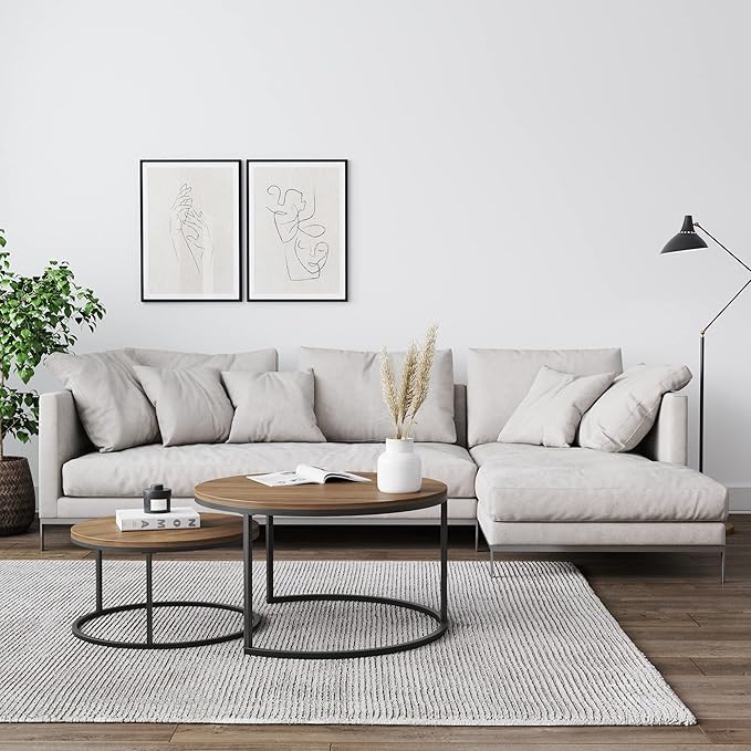 Nathan James Stella Round Modern Nesting Coffee (Set of 2), Stacking Living Room Accent Tables with Tabletops and Matte Metal Frame, Reclaimed Oak/Gunmetal