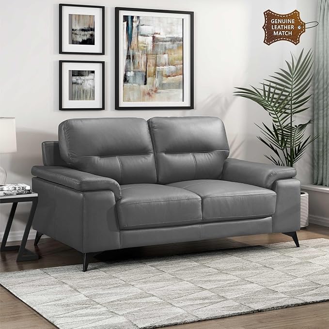 Lexicon Leather Loveseat Sofa, Modern Couch Sofa, Oversized Loveseat, Top Grain Leather Couch for Living Room, Bedroom, Office, Apartment, 2-Seater Loveseat, Dark Gray