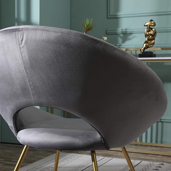 Roundhill Furniture Slatina Silky Velvet Upholstered Accent Chair with Gold Tone Finished Base, Gray