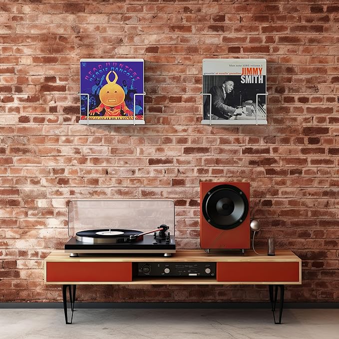 Vinyl Display Holder 2pk - Matte White Record Shelf - Wall Mount - Fits 30 LP's - Minimalist Steel Shelves - Organizer Stand - Frame Album Art