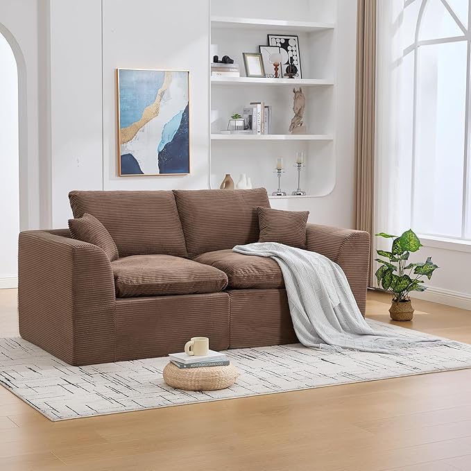80.3" Cloud Loveseat Boneless Sofas for Living Room, 2 Seaters Modular Foam Cloud Sofa Couches, 2 Seat Compression Foam Couch with Toss Pillows, No Assembly Required