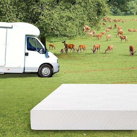 EGO White 10 Inch RV King Memory Foam RV Mattress, Cooling Gel Green Tea Mattress for RVs, Campers & Trailers, Bed in a Box, CertiPUR-US Certified, 76"×80", Medium Firm