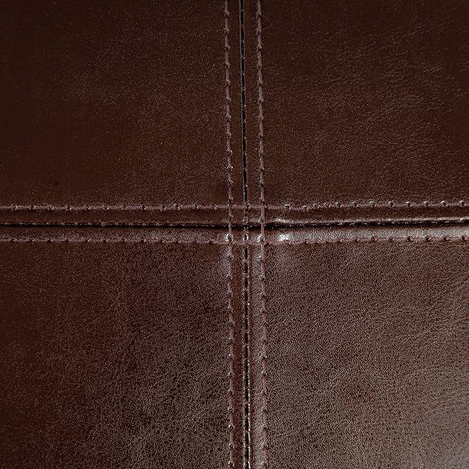 Christopher Knight Home Emilia Chocolate Brown Leather Dining Chairs (Set of 2)